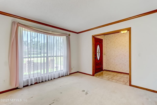 8203 Cutter Pl, Jacksonville, FL 32216 - photo 4