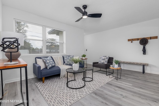 2411 Hirsch Ave, Jacksonville, FL 32216 - photo 4