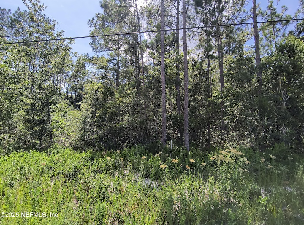 10505 Delgado Ave, Hastings, FL 32145 - photo 1