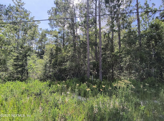 10505 Delgado Ave, Hastings, FL 32145 - photo 1