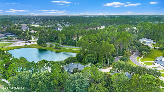 94040 Hemlock Ct, Fernandina Beach, FL 32034 - photo 34