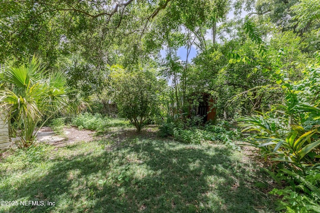 8073 Oakwood St, Jacksonville, FL 32208 - photo 9
