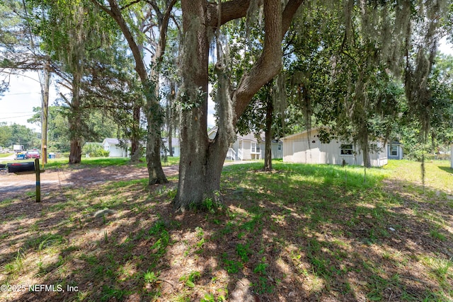 8857 Washington Ave, Jacksonville, FL 32208 - photo 5