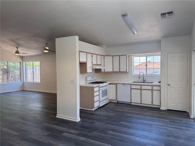 9936 S Prescott Dr, Mohave Valley, AZ 86440 - photo 13