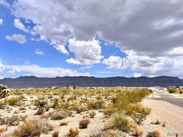 30395 N Bright Angel Dr, Meadview, AZ 86444 - photo 4