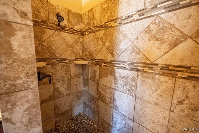 interior details with tiled shower