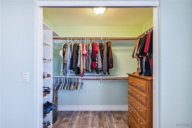 4403 S Via Rialto Ln, Fort Mohave, AZ 86426 - spacious closet with wood finished floors