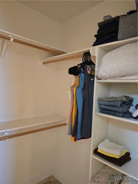 view of spacious closet