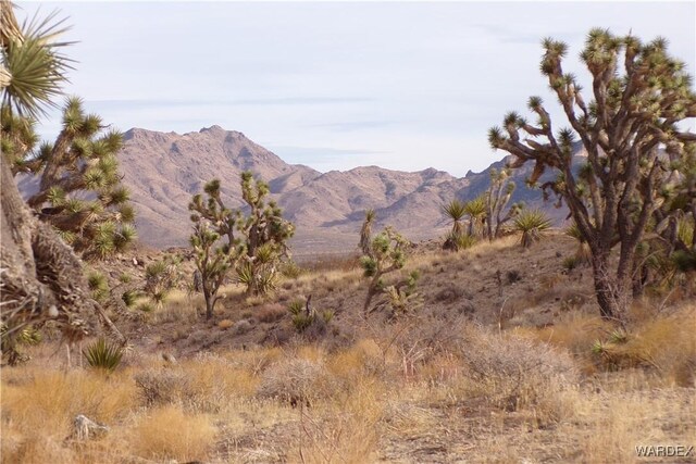 LOT72 W 20th St, Dolan Springs AZ, 86441 land for sale