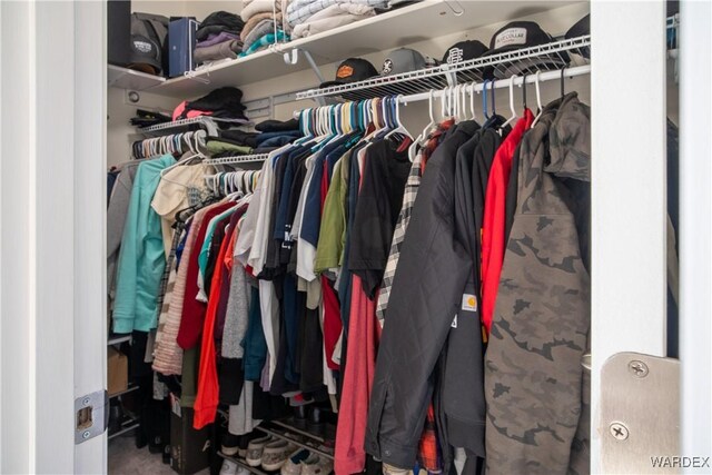 view of closet