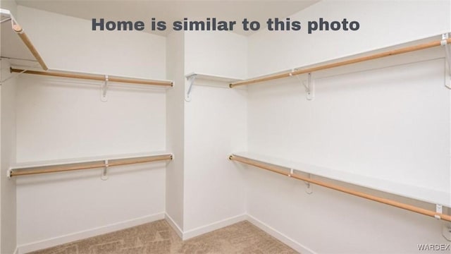 walk in closet featuring carpet floors