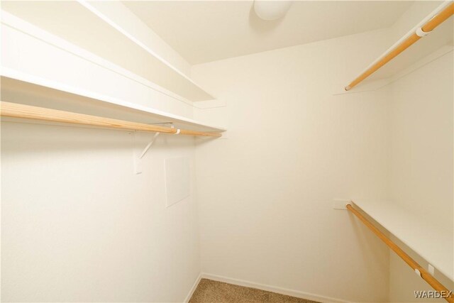 walk in closet featuring carpet flooring