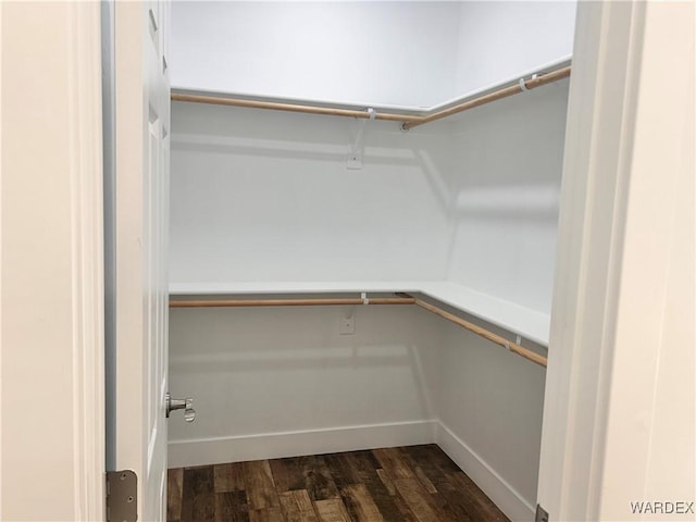 walk in closet with dark wood-style flooring