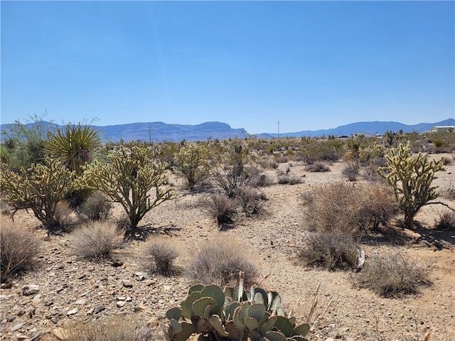 870 W Calico Dr Unit 4/Lot1556, Meadview, AZ 86444 - photo 1