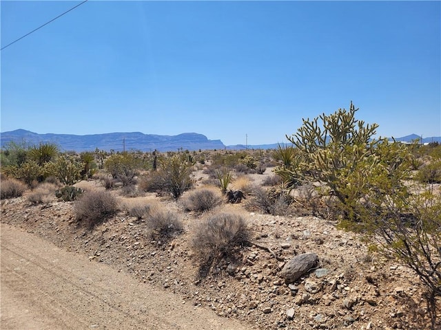 870 W Calico Dr Unit 4/Lot1556, Meadview, AZ 86444 - photo 2