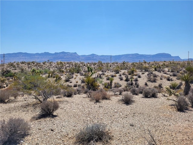 870 W Calico Dr Unit 4/Lot1556, Meadview, AZ 86444 - photo 5