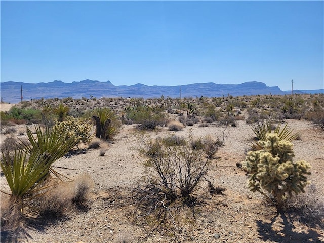 870 W Calico Dr Unit 4/Lot1556, Meadview, AZ 86444 - photo 4