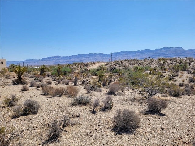 870 W Calico Dr Unit 4/Lot1556, Meadview, AZ 86444 - photo 6