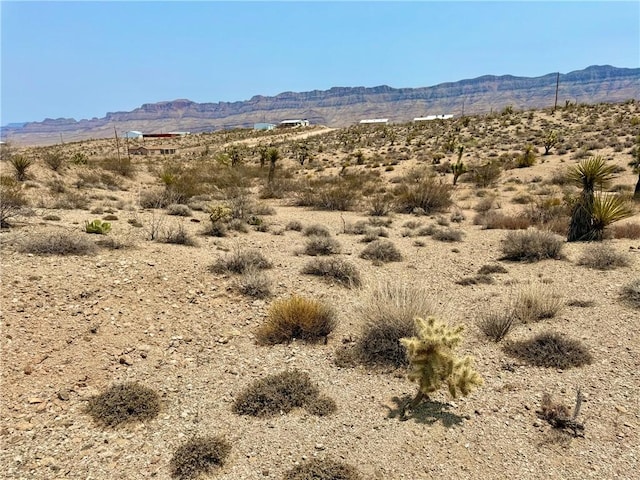 850 Frazier Ln, Meadview, AZ 86444