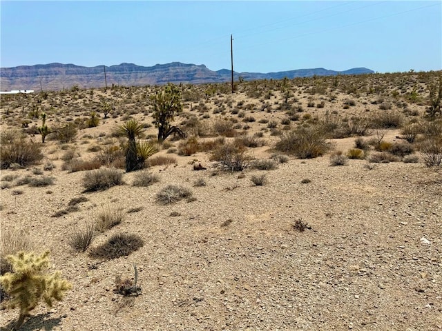 850 Frazier Ln, Meadview, AZ 86444