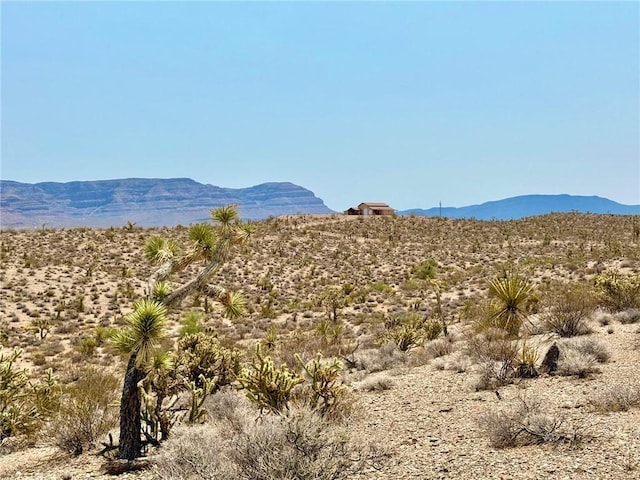 850 Frazier Ln, Meadview, AZ 86444