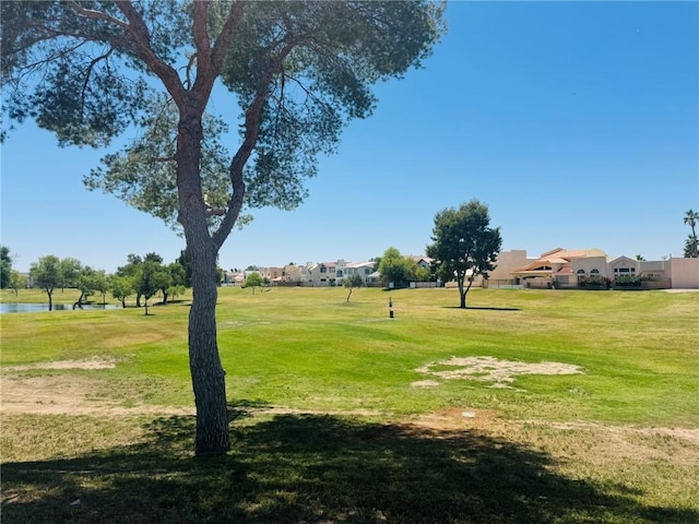 1252 Lause Rd, Bullhead City, AZ 86442 - photo 5