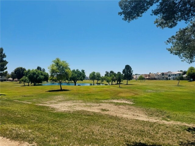 1252 Lause Rd, Bullhead City, AZ 86442 - photo 6
