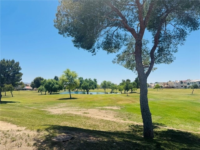 1252 Lause Rd, Bullhead City, AZ 86442 - photo 4