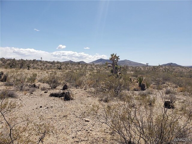 0000 White Hills Rd Unit 4Lot 072, White Hills, AZ 86445