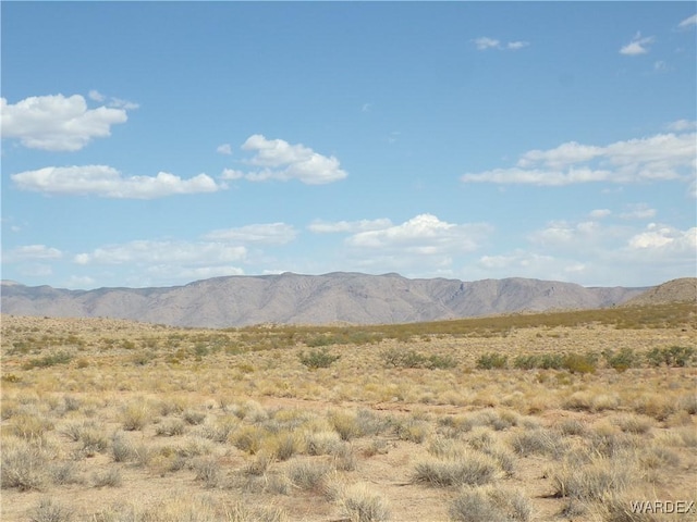 2LOTS Painted Rock Ln, Kingman AZ, 86409 land for sale