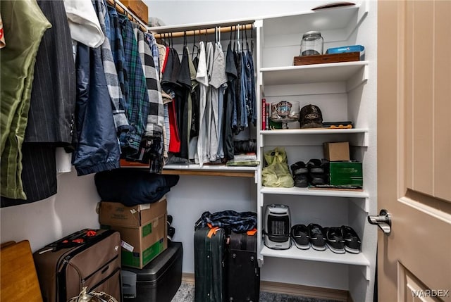 view of walk in closet