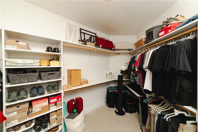 spacious closet featuring carpet floors