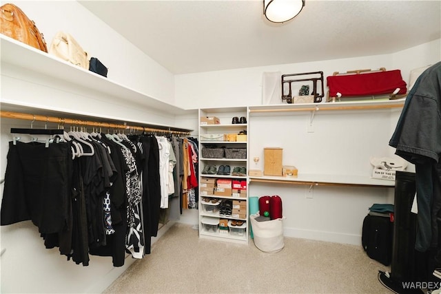 spacious closet featuring carpet floors