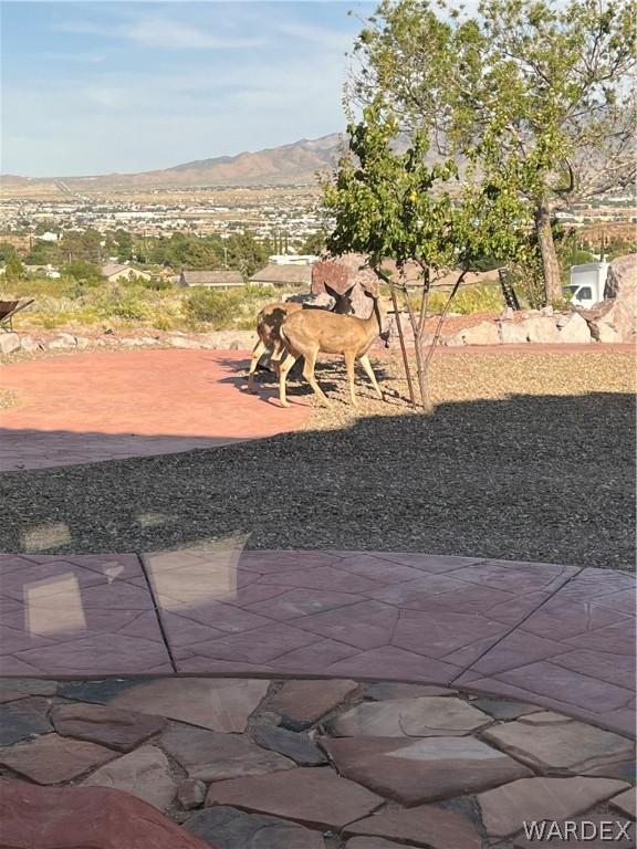 view of yard featuring a mountain view