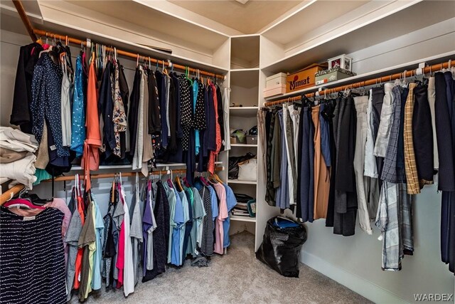 spacious closet featuring carpet