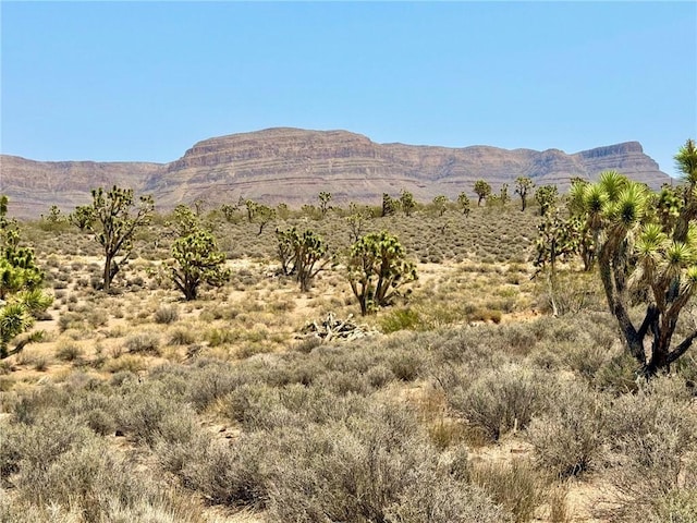 26681 Yucca Rd, Meadview, AZ 86444