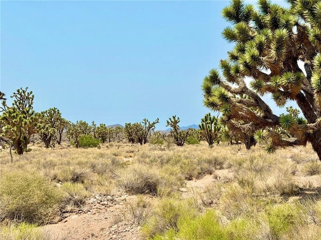 26681 Yucca Rd, Meadview, AZ 86444