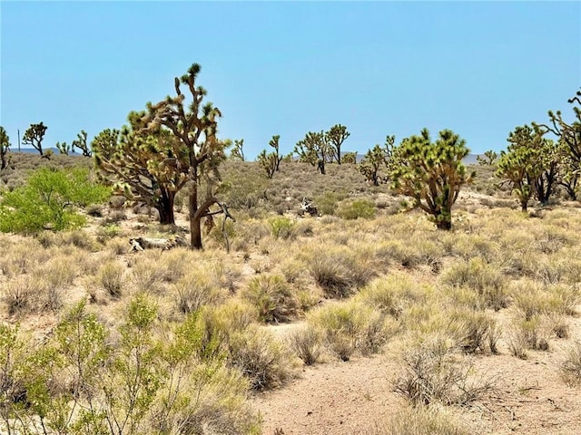 26681 Yucca Rd, Meadview, AZ 86444