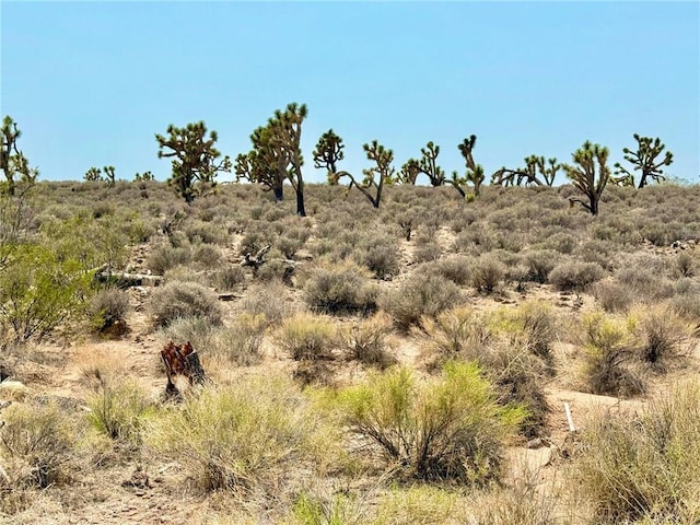 26681 Yucca Rd, Meadview, AZ 86444