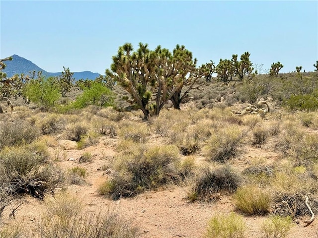 26681 Yucca Rd, Meadview, AZ 86444