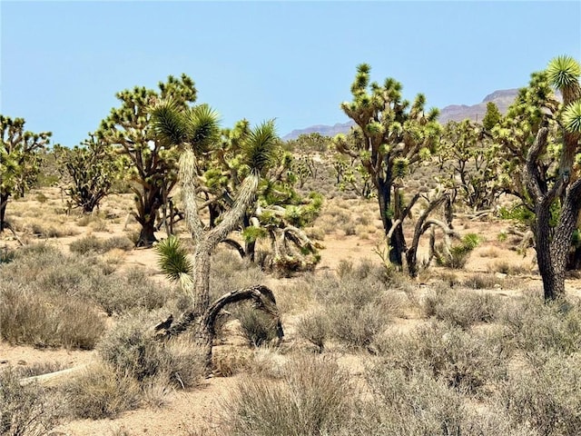 26681 Yucca Rd, Meadview, AZ 86444