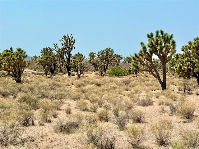 26681 Yucca Rd, Meadview, AZ 86444