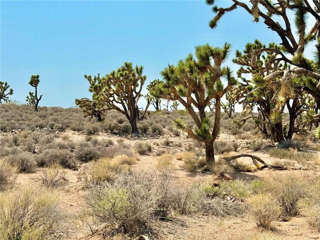 26681 Yucca Rd, Meadview, AZ 86444