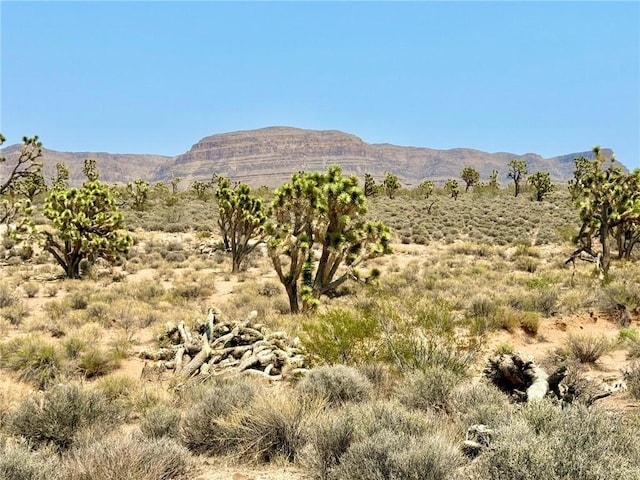 26681 Yucca Rd, Meadview, AZ 86444