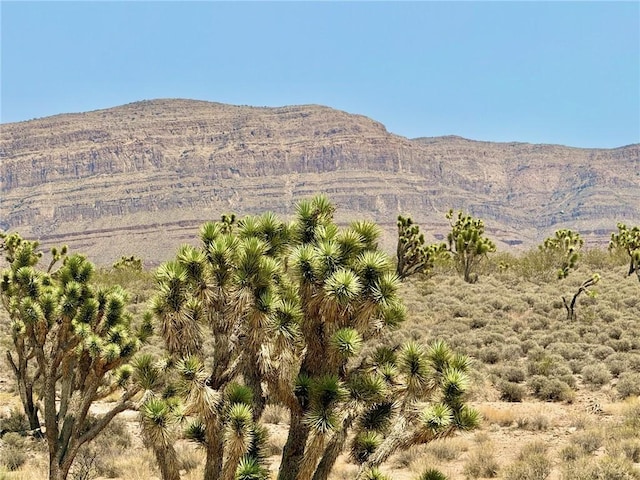 26681 Yucca Rd, Meadview, AZ 86444