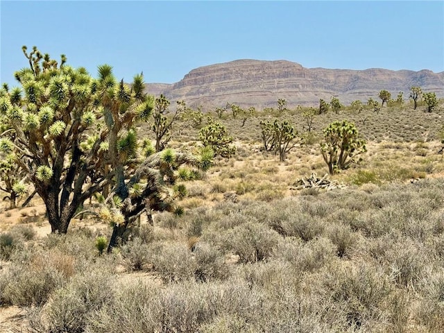 26681 Yucca Rd, Meadview, AZ 86444