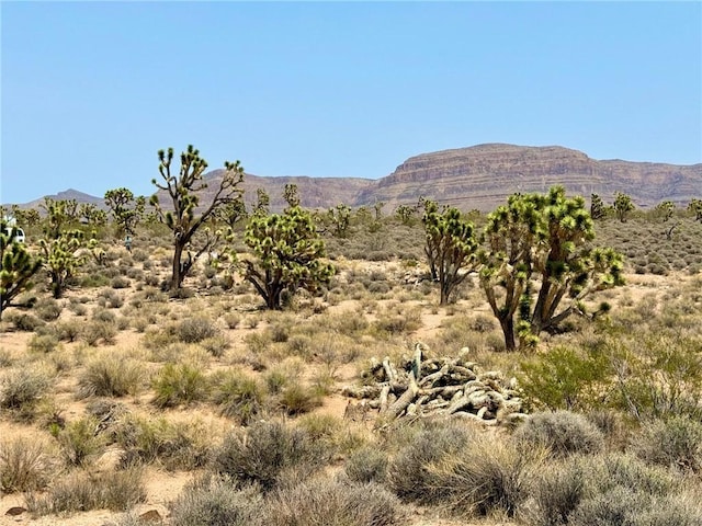 26681 Yucca Rd, Meadview, AZ 86444