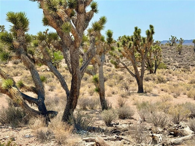 26681 Yucca Rd, Meadview, AZ 86444