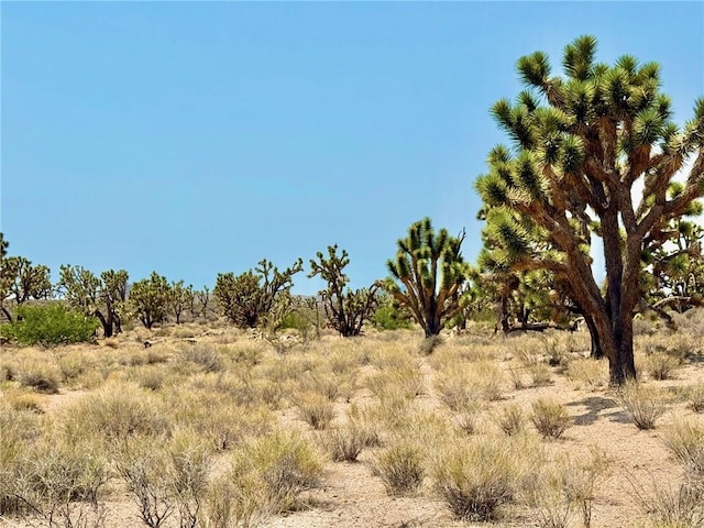 26681 Yucca Rd, Meadview, AZ 86444