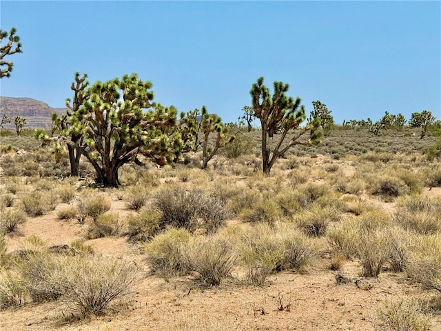 26681 Yucca Rd, Meadview, AZ 86444